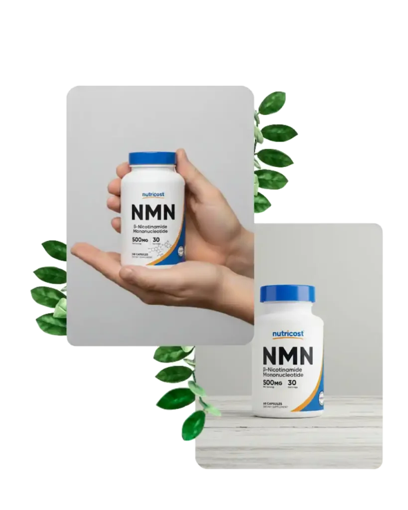 Preguntas frecuentes NMN 500 mg de INAN NATURAL