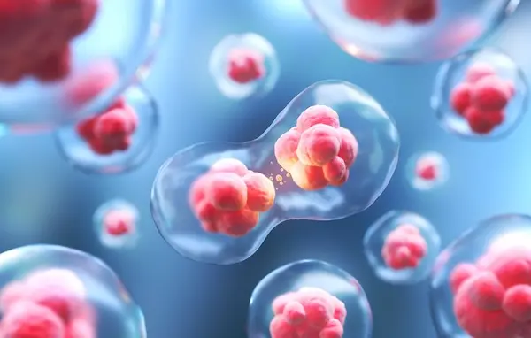 Entendiendo el origen de la malabsorción de nutrientes


