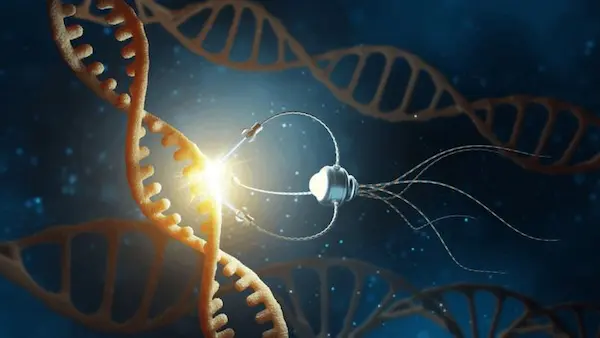 Innovación científica frente a la malabsorción de nutrientes