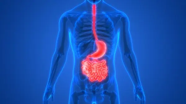 ¿Cuál es la causa de la malabsorción de nutrientes en la actualidad