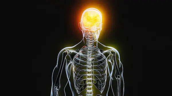 Soporte metabólico y cuidado del sistema nervioso