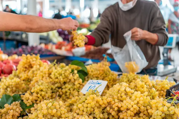 Pasos para crear una alimentación equilibrada desde cero